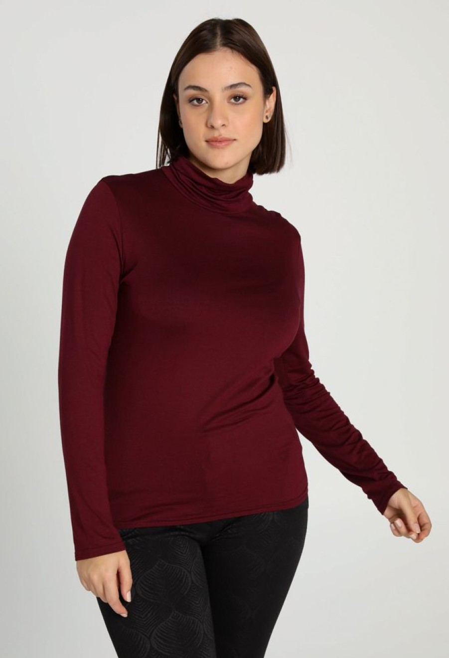 Kleding Cassis | Effen T-Shirt Met Rolkraag Bordeaux